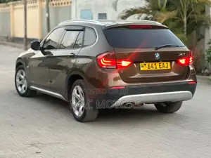 BMW X1 2010 Brown