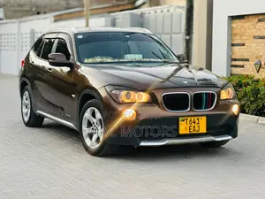 BMW X1 2010 Brown