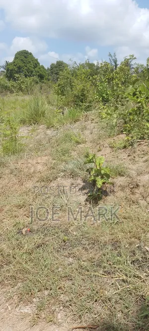 30 Acres for Sale at Kibaha Misugusugu