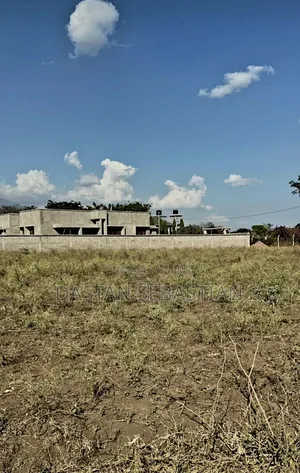 Arusha - Kisongo Panoni