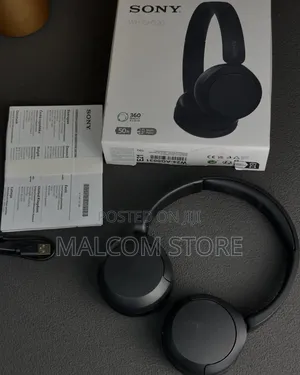 Sony WH-CH520
