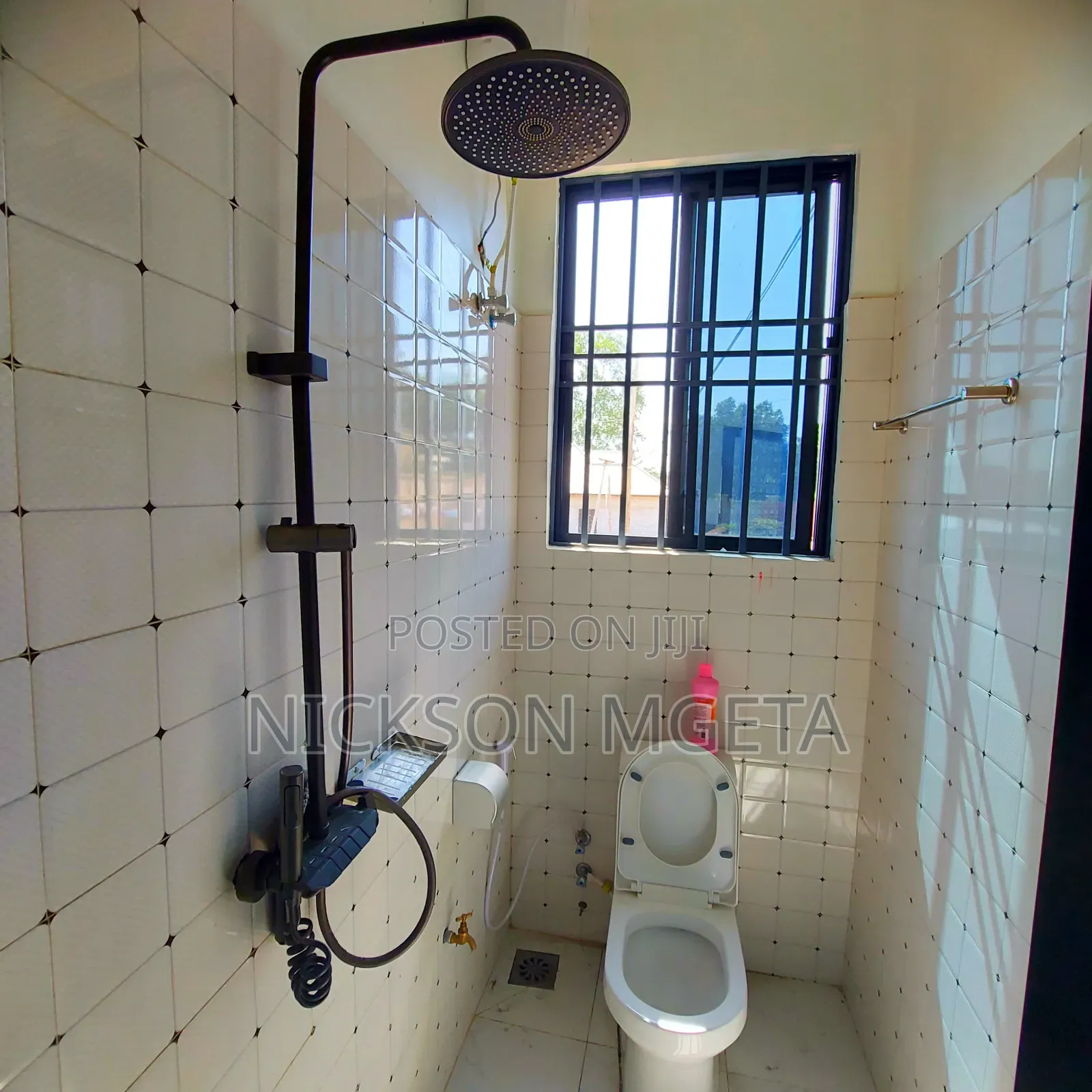 Furnished 2bdrm Apartment in Nickson Mgeta, Nyasaka for rent