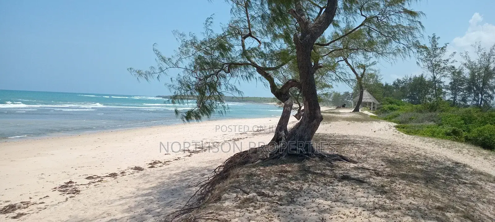 Beach Plot at Mbutu Beach Kigamboni