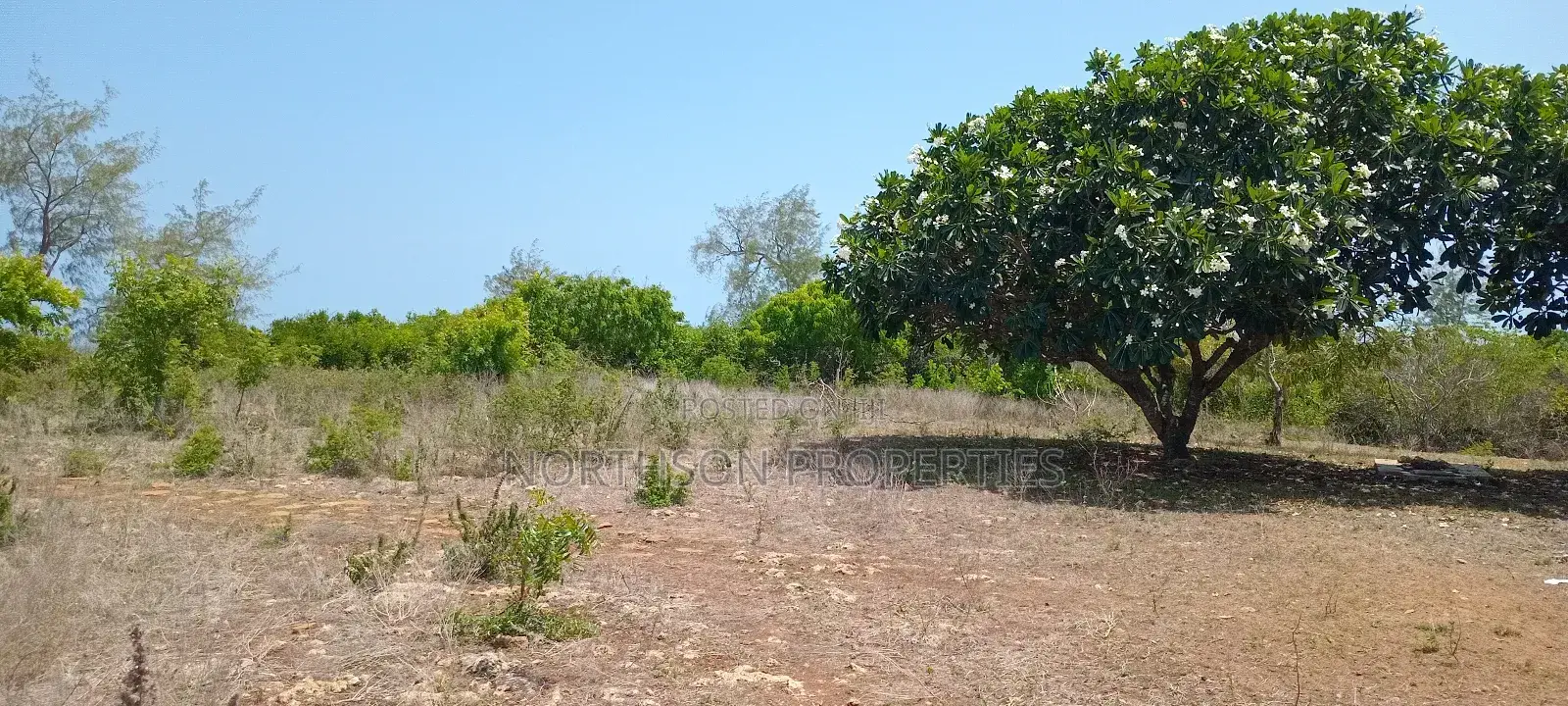 Beach Plot at Mbutu Beach Kigamboni