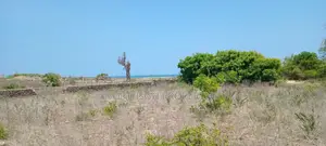 Beach Plot at Mbutu Beach Kigamboni
