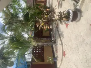 Furnished 2bdrm Apartment in Kinondoni for rent