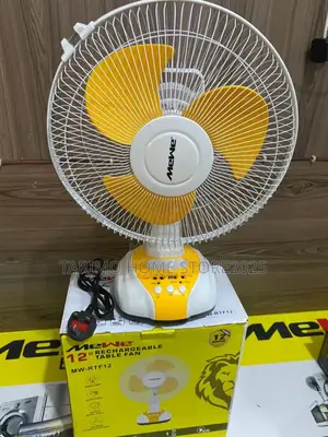 Rechargeable Fan Inch 12
