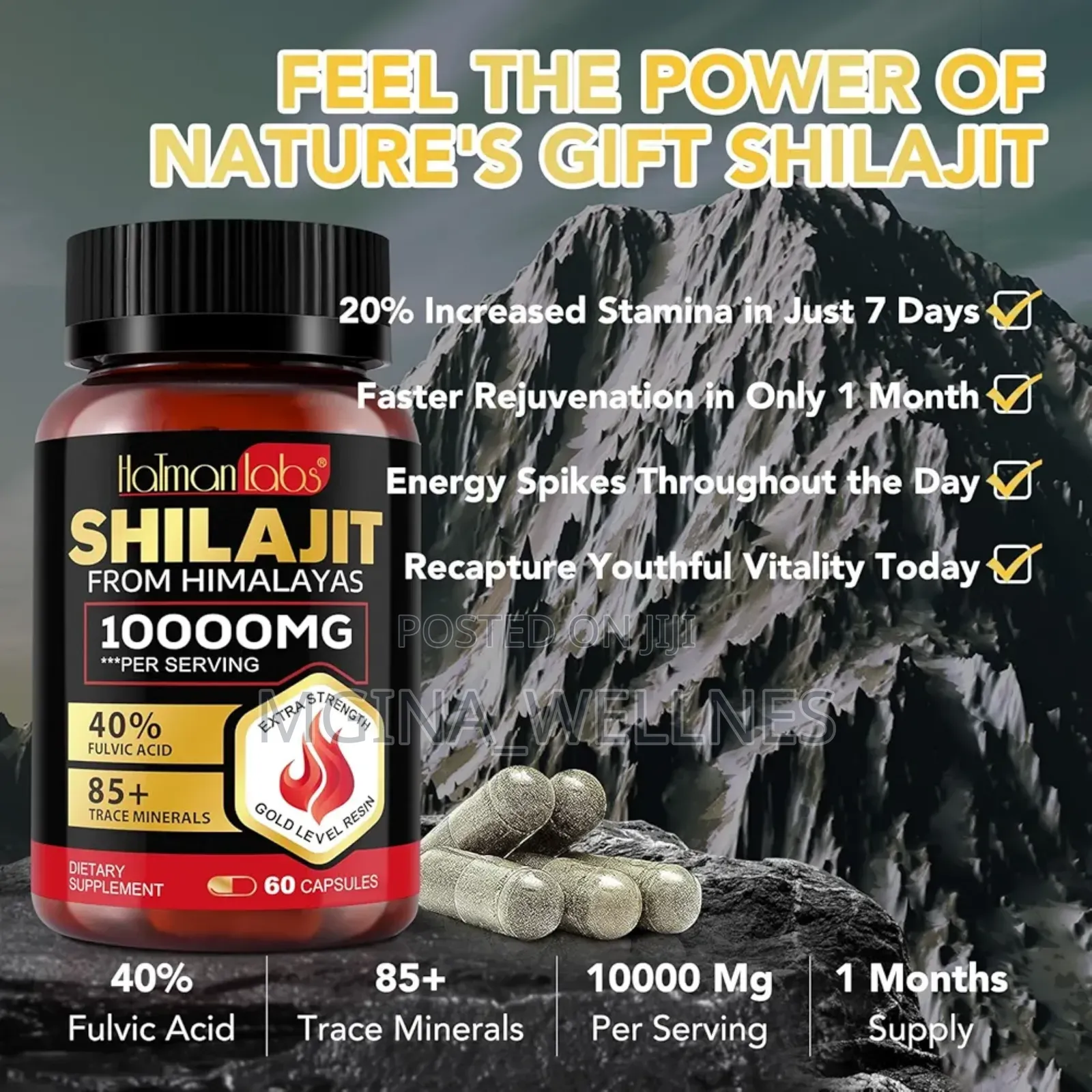 NATURAL SHILAJIT FROM HIMALAYANS, 10000mg (60 Capsule )
