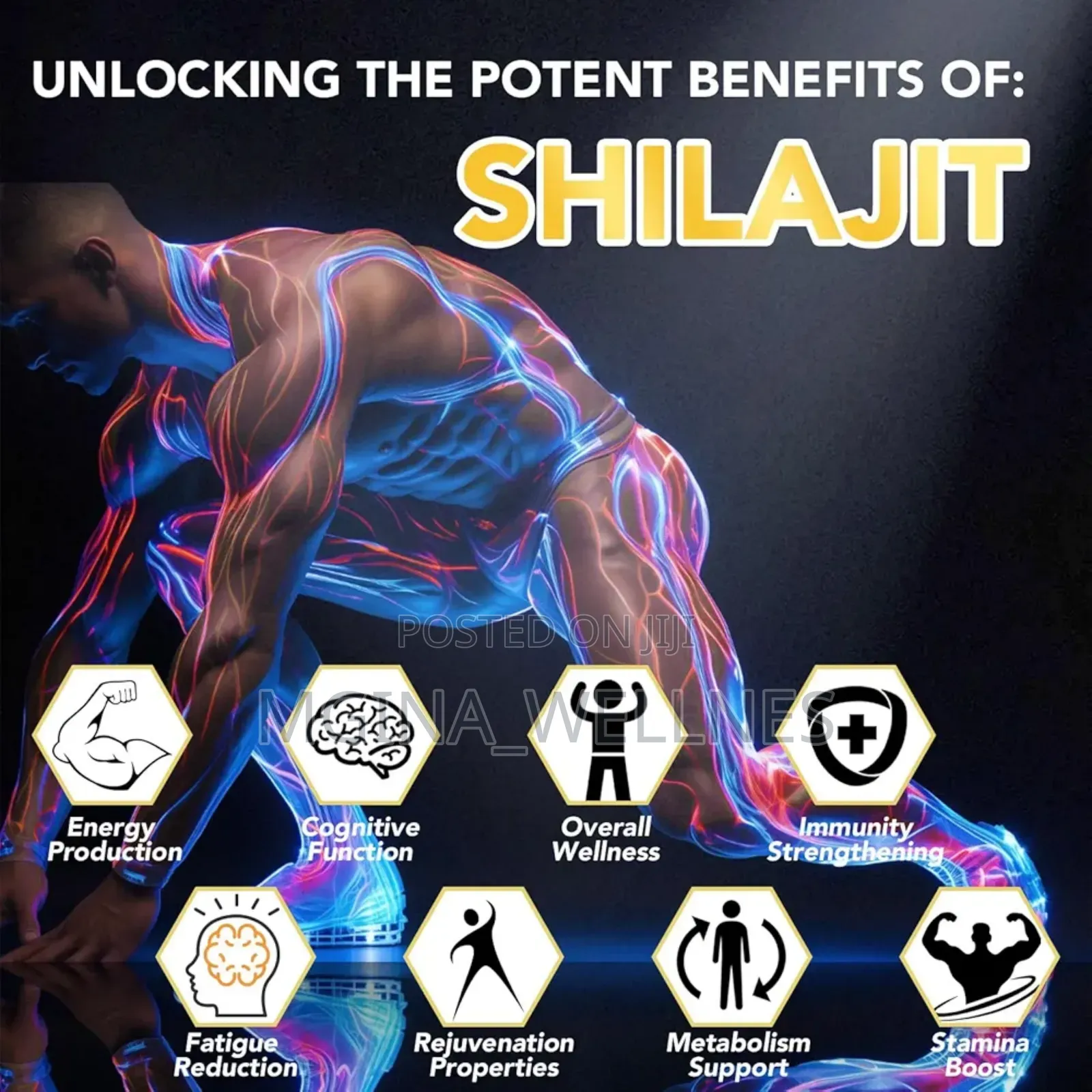 NATURAL SHILAJIT FROM HIMALAYANS, 10000mg (60 Capsule )