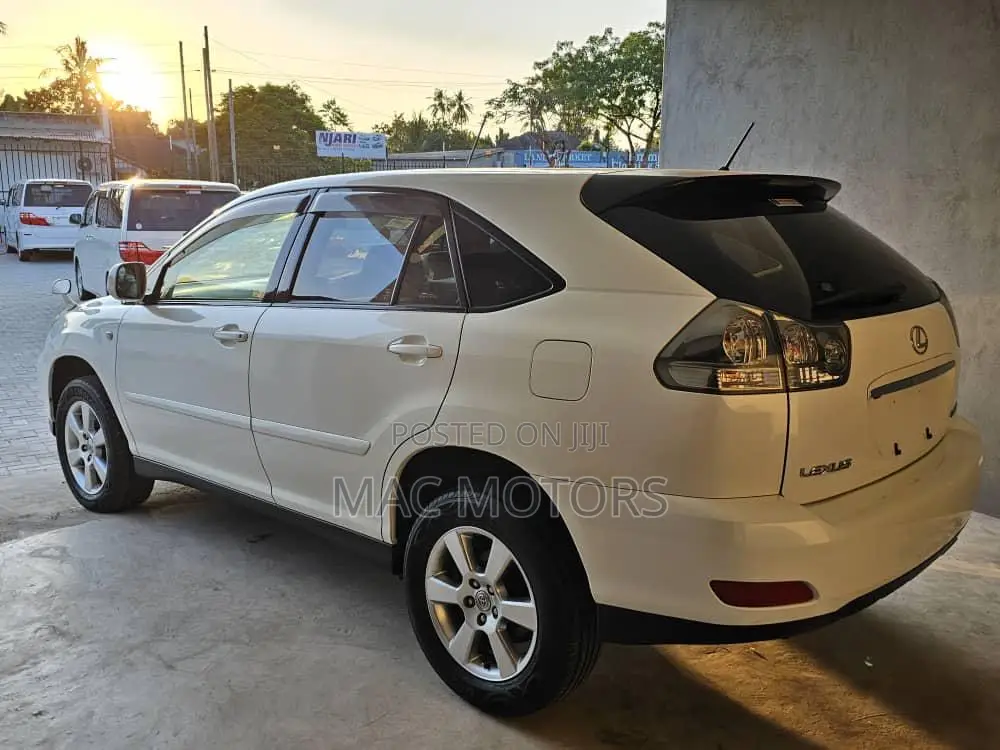 Lexus RX 2005 White