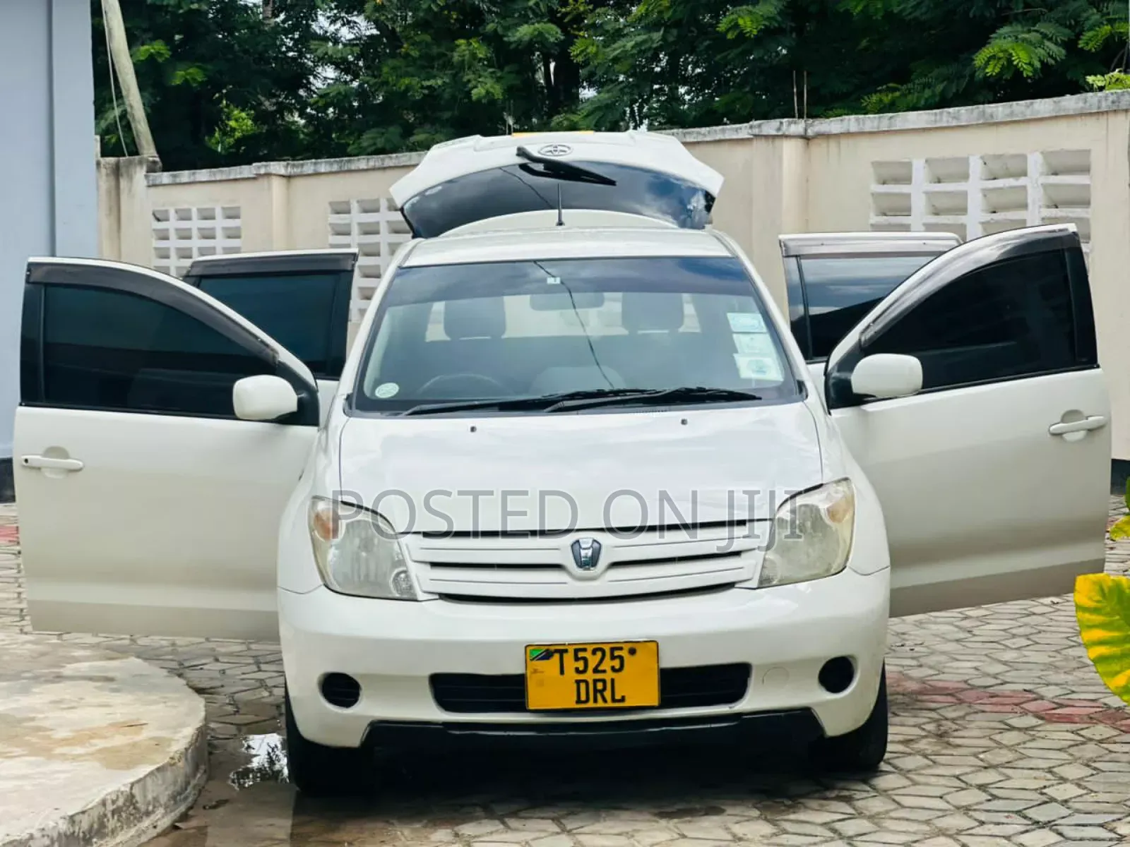 Toyota IST 2005 White