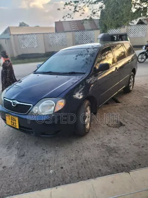 Toyota Corolla Fielder 2003 Blue