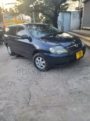 Toyota Corolla Fielder 2003 Blue