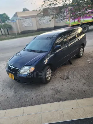 Toyota Corolla Fielder 2003 Blue
