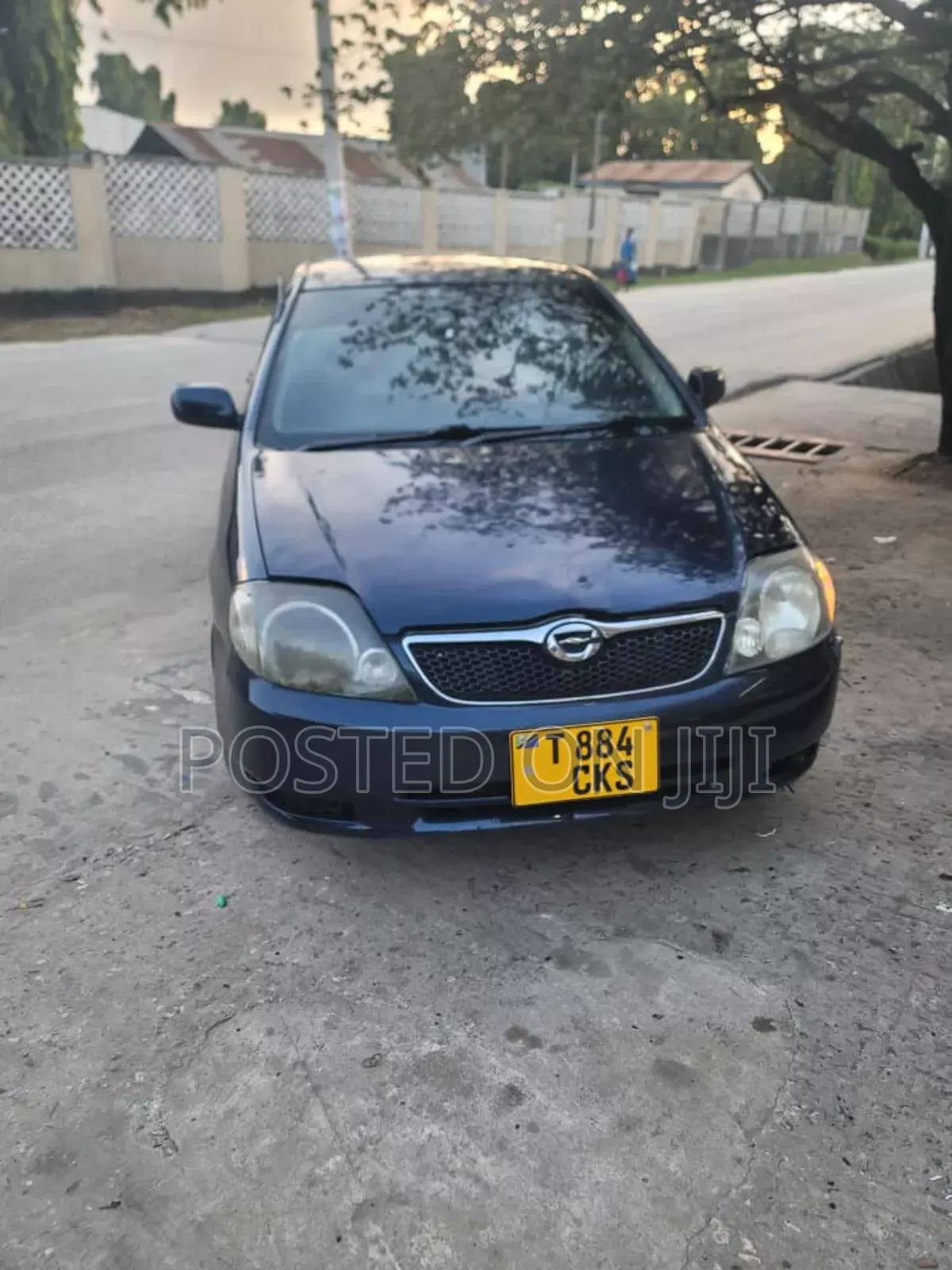 Toyota Corolla Fielder 2003 Blue