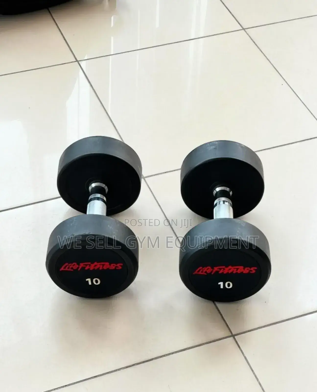 Round Dumbbells Pair