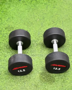 Round Dumbbells Pair