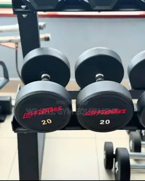 Round Dumbbells Pair