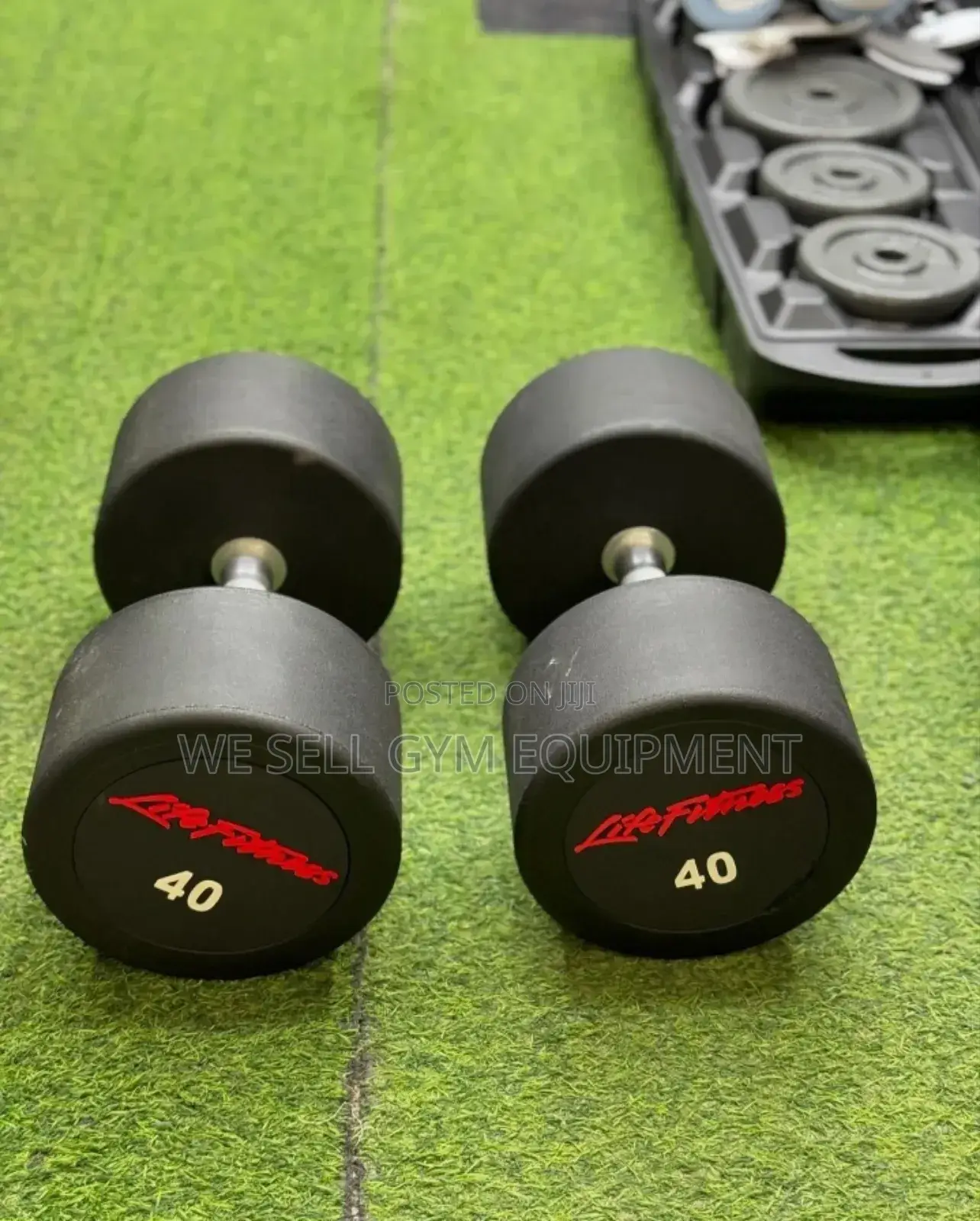 Round Dumbbells Pair