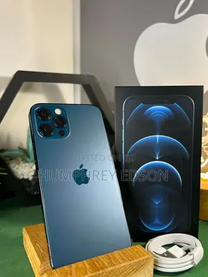 New Apple iPhone 12 Pro Max 256 GB Gray
