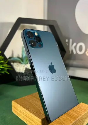 New Apple iPhone 12 Pro Max 256 GB Gray