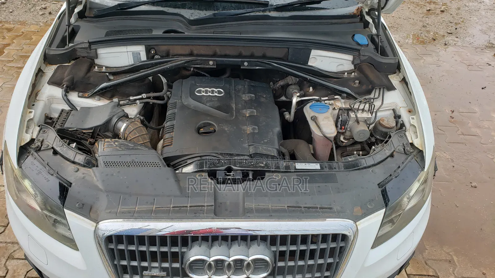 Audi Q5 2011 White