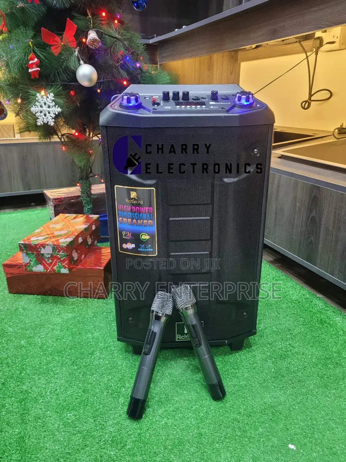 RICHSOUND Trolley Rechargeable Speaker 12"With 2wireless Mic