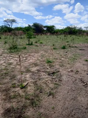Shamba Kubwa Linauzwa