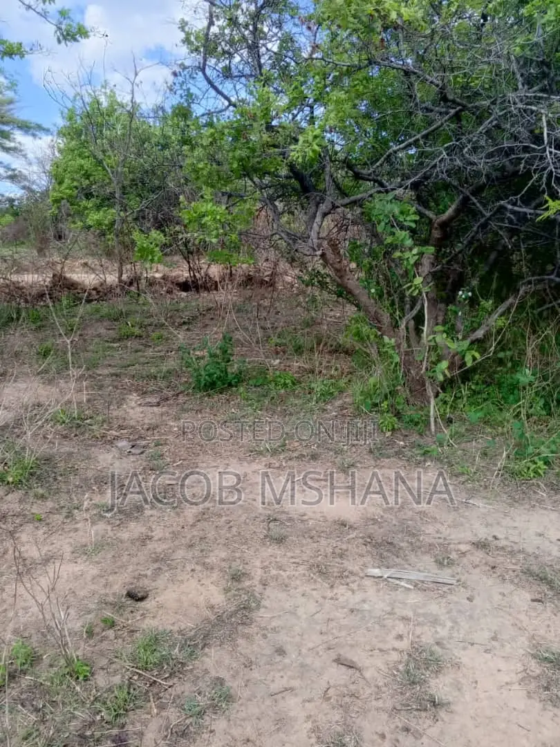 Shamba Kubwa Linauzwa