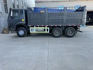 Ready to Order Used Howo Nx Cargo for Sale