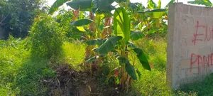 Kiwanja SQM 400 Kinauzwa Na Bank Kigamboni Kibugumo