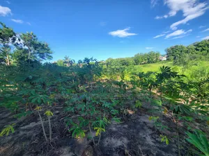 Photo - Plot for Sale at Madale Mwisho