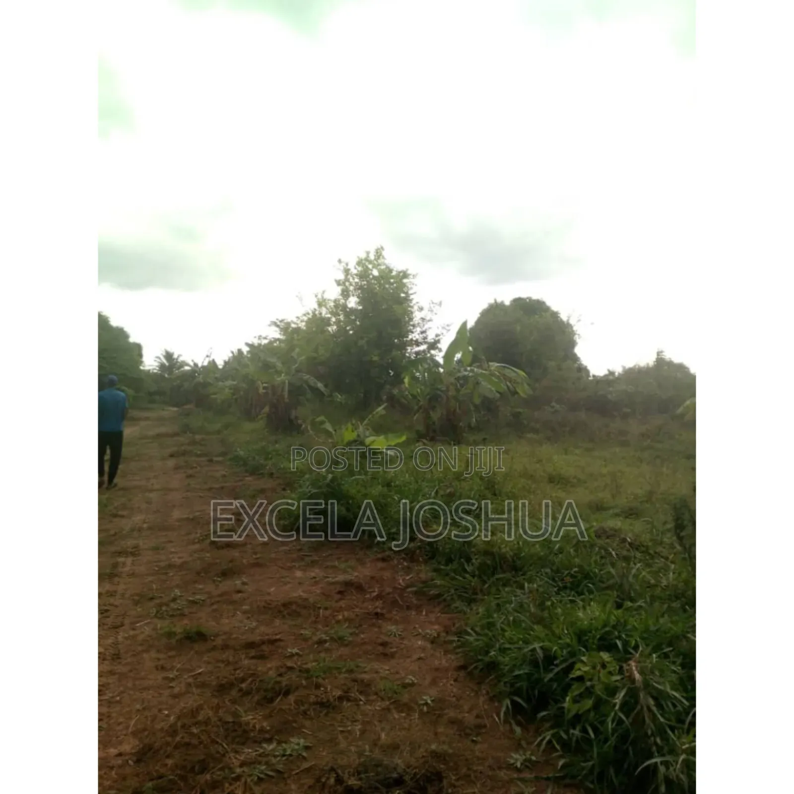 Shamba Ekari 5 Linauzwa Soga Mkoa Wa Pwani