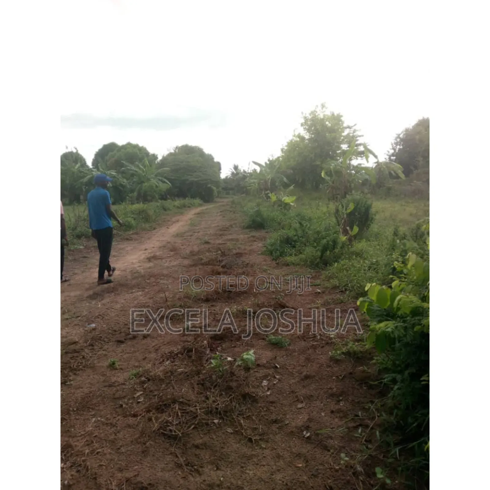 Shamba Ekari 5 Linauzwa Soga Mkoa Wa Pwani