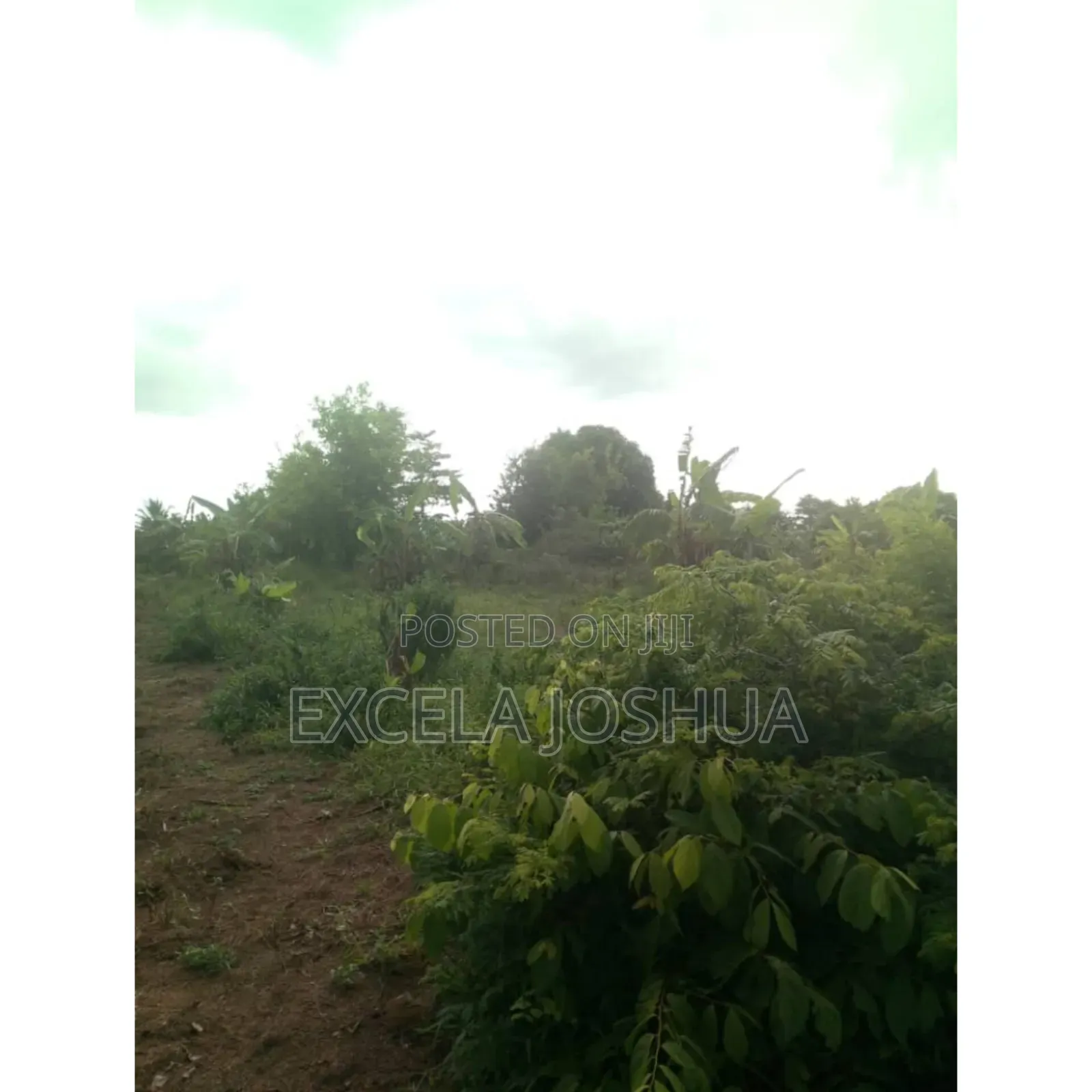 Shamba Ekari 5 Linauzwa Soga Mkoa Wa Pwani