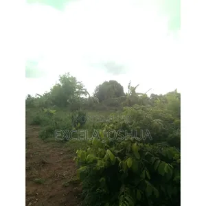 Shamba Ekari 5 Linauzwa Soga Mkoa Wa Pwani