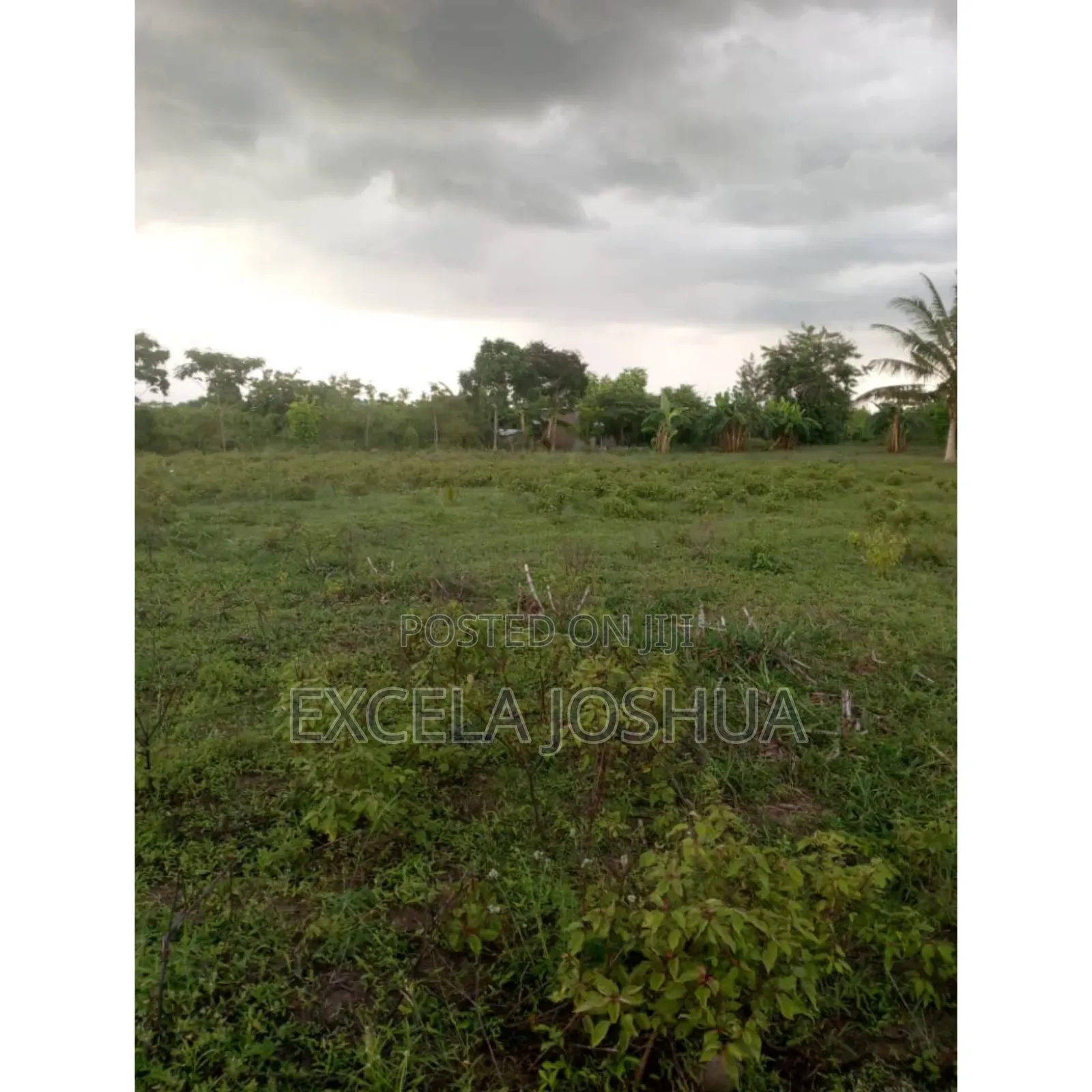 Shamba Ekari 5 Linauzwa Soga Mkoa Wa Pwani