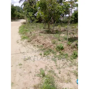 Shamba Ekari 5 Linauzwa Soga Mkoa Wa Pwani