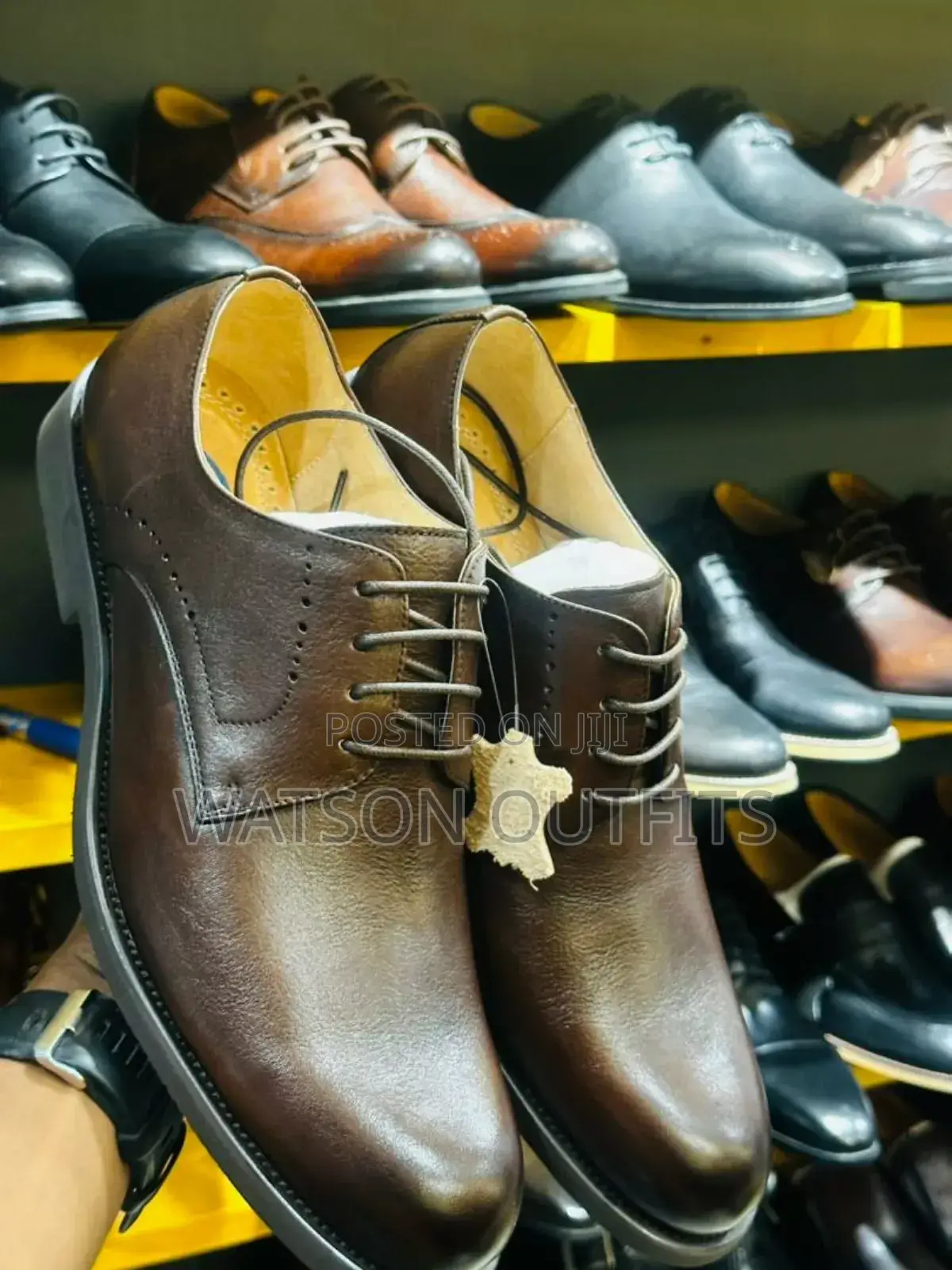 Brown Clarks New Footwears/Shoes Original