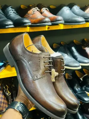 Brown Clarks New Footwears/Shoes Original