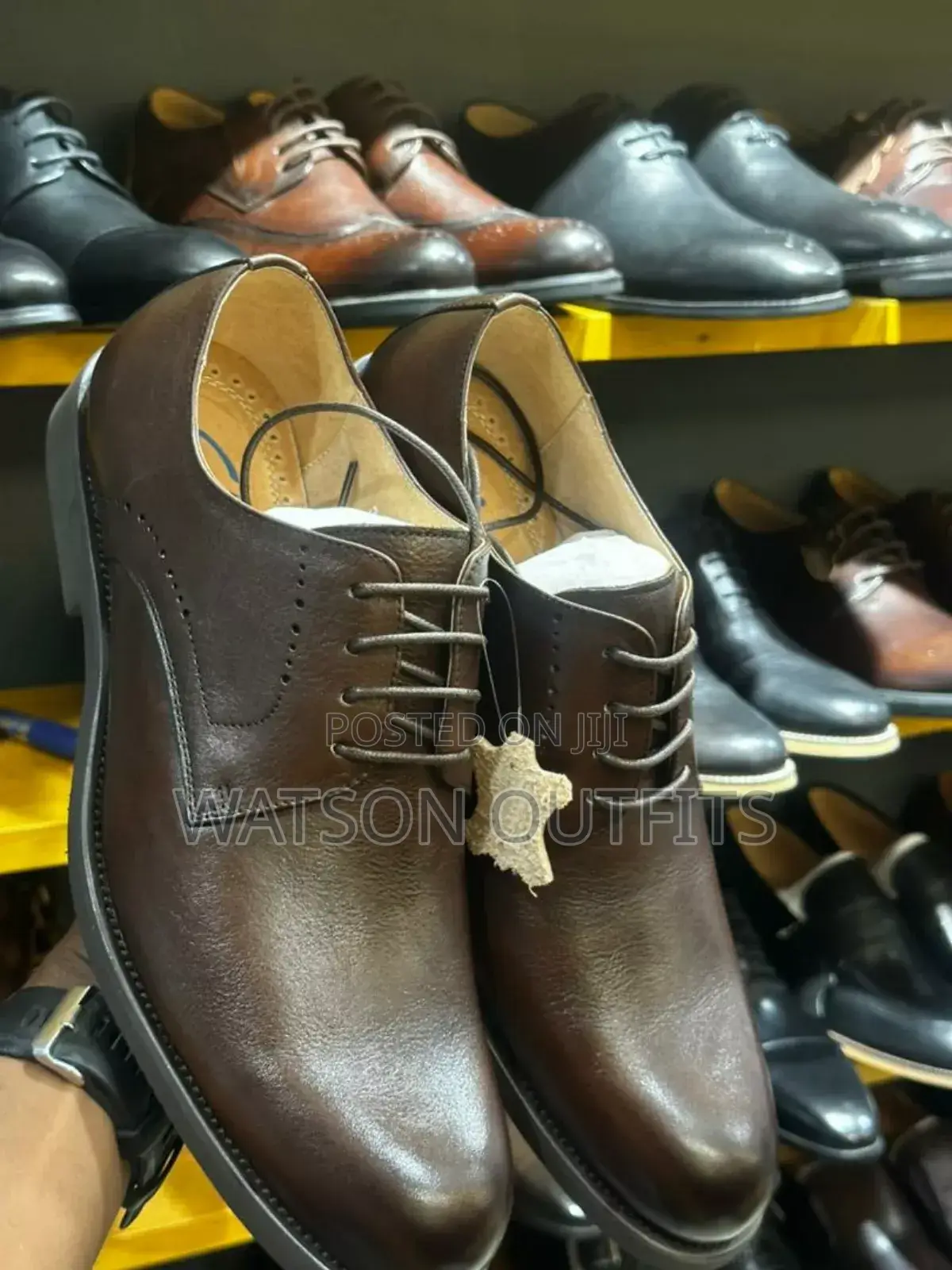 Brown Clarks New Footwears/Shoes Original