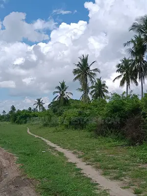 20 Acres Facing Bagamoyo Road on Sale at Kilomo Bagamoyo