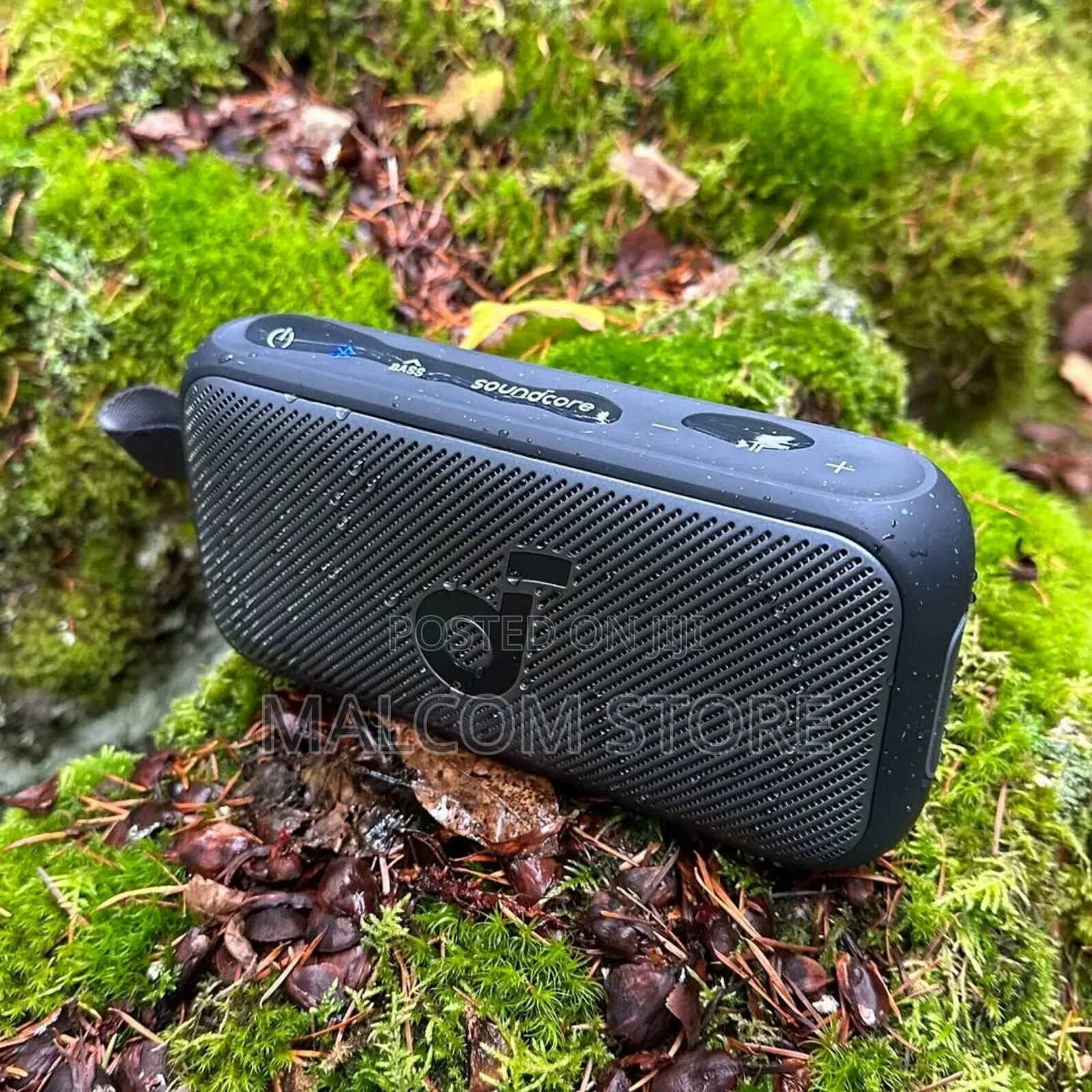 Soundcore Motion 300