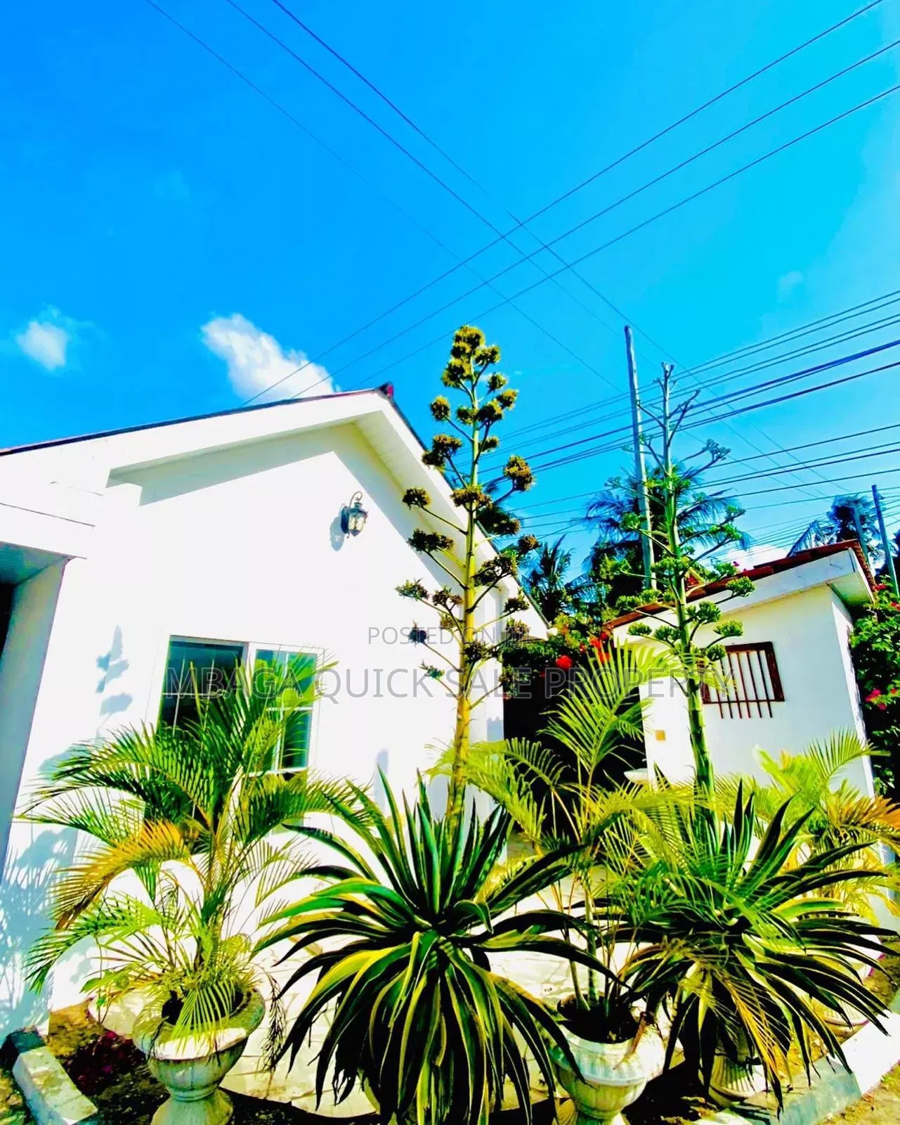 2bdrm Apartment in Mikocheni Kwa for rent