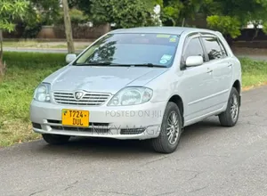 Toyota Allex 2004 Silver