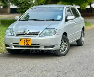 Toyota Allex 2004 Silver