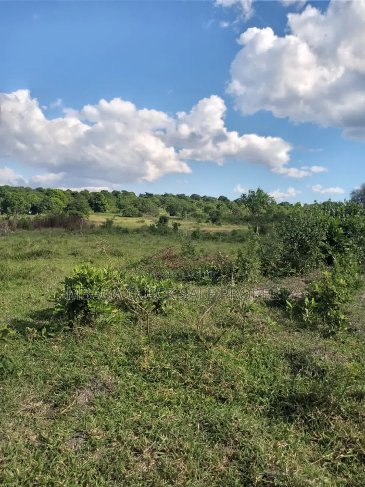 Plot for Sale at Goba Kulangwa