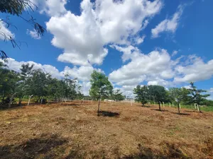 Plot for Sale at Madale Nyakasangwe