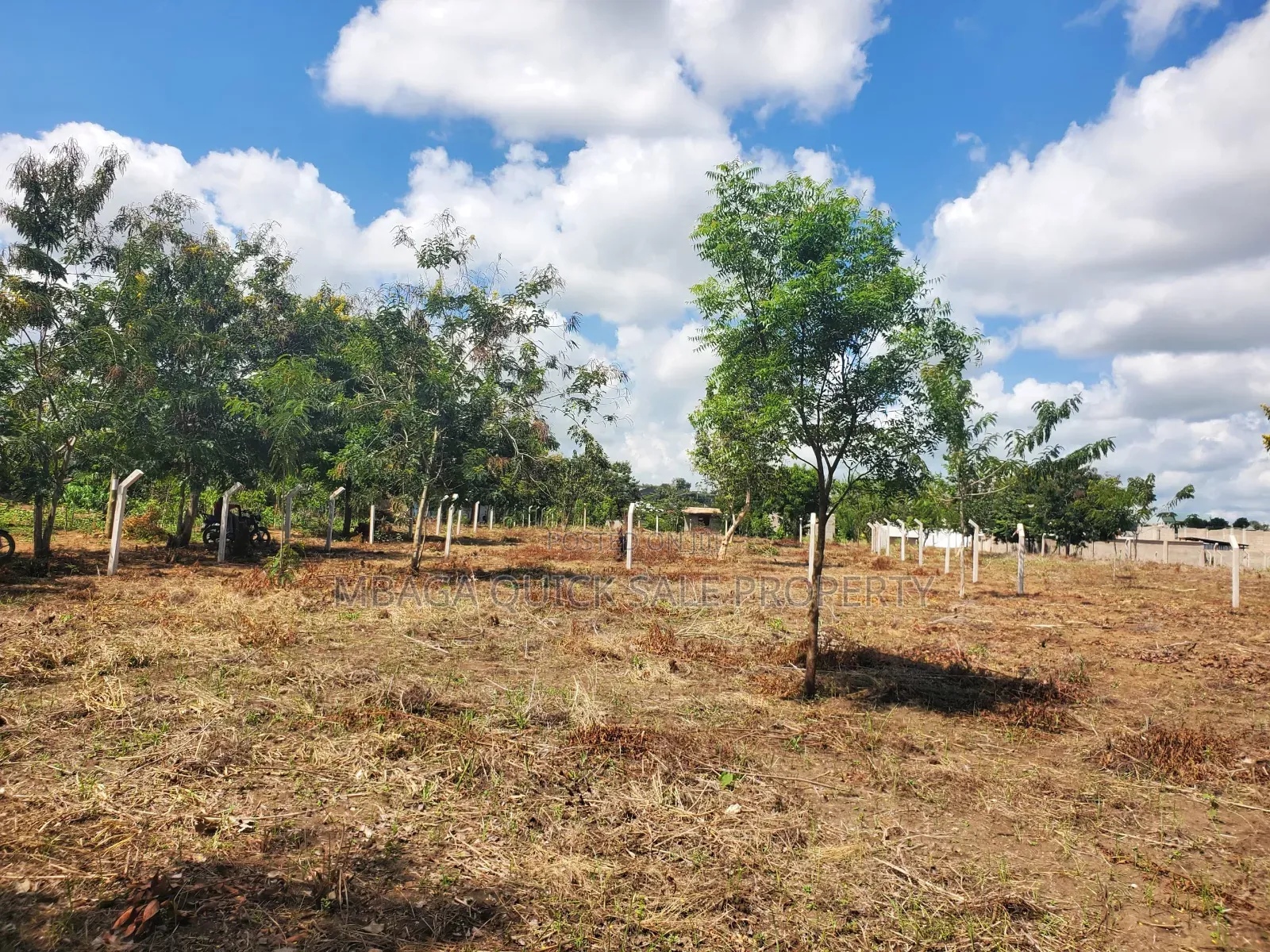 Plot for Sale at Madale Nyakasangwe
