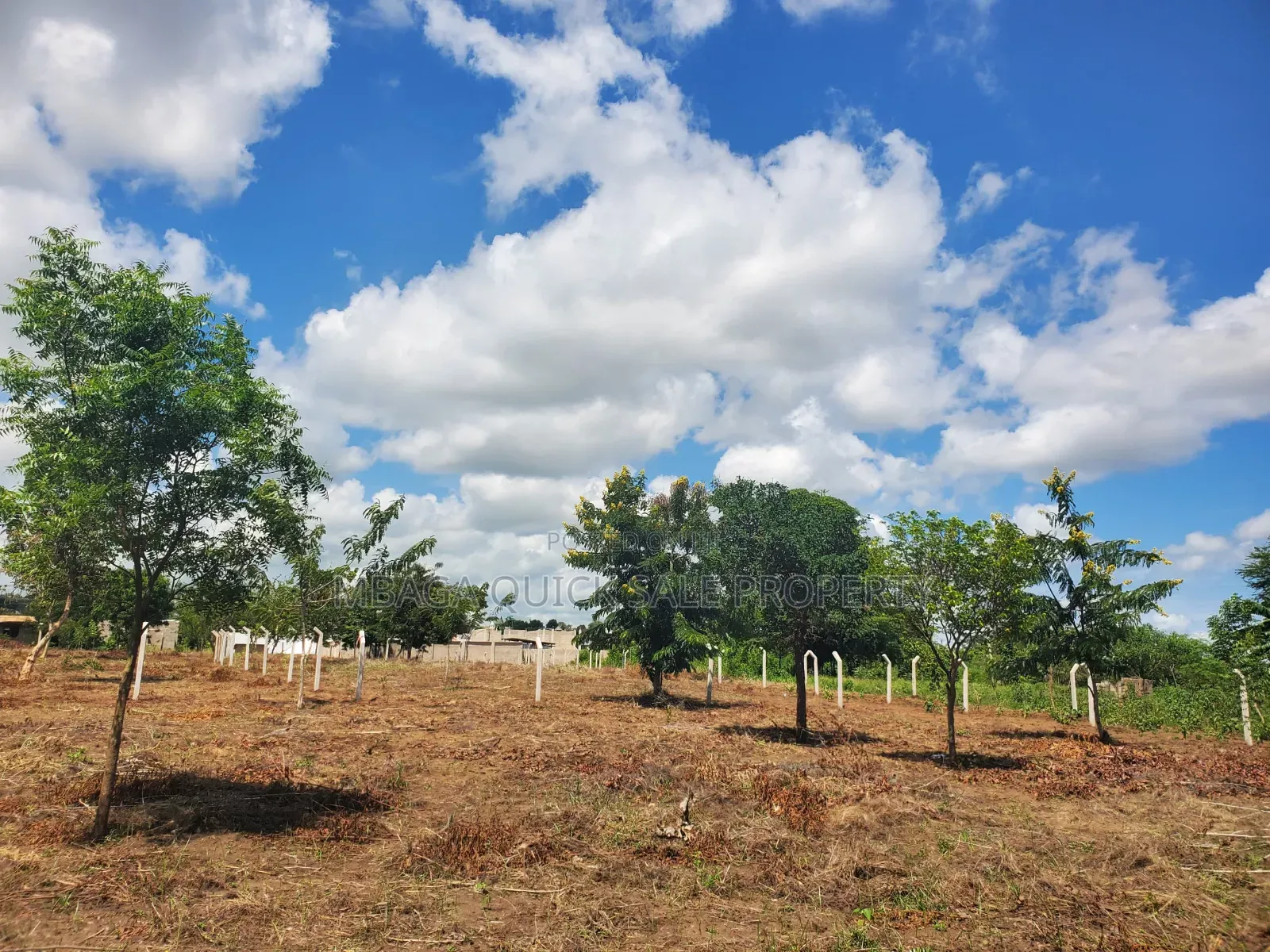 Plot for Sale at Madale Nyakasangwe